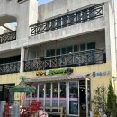 플레이펫 | 담양동물체험 아이랑갈만한곳 플레이펫