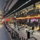 바이젝 월드 피트니스 이미지