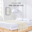 H9398 네이버블로그