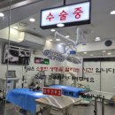 조규만외과동물병원 이미지
