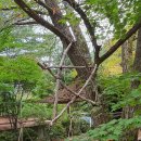 가리약수터 이미지