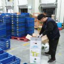 대흥운수 이미지