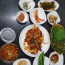 경기 안산맛집 추천 안산대학교 성호주악교 제일CC 근처 일동 ＜조은밥상＞ 제육볶음, 집밥 이미지