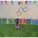 보들보들 유치원 이미지