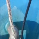 (주)에스존 이미지