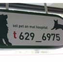 솔펫 동물병원 이미지