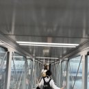 China 唐(차이나당) | 에어차이나 타고 바르셀로나 가기 : 베이징 환승 /스타얼라이언스 적립 / 에어차이나 환승호텔 / lanwan...