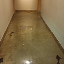 청춘치킨 이미지