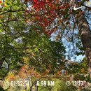 세븐일레븐 광릉수목원점 이미지