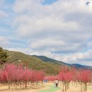 간전중앙로 이미지