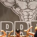 팀비식스 이미지