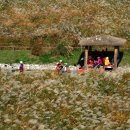 억새어린이공원 이미지