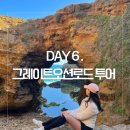 [호주여행] Day 6. 그레이트오션로드 조이투어 헬기 추가 후기