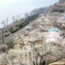 원동기사 이미지