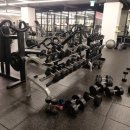 써밋복싱 이미지