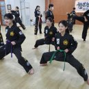 강한합기도 이미지