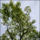 커피바리스타자격반(야간) 이미지