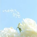 생활마스터