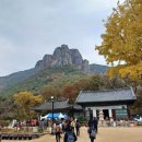 주왕산주산지말이민박 | (원거리 산행) 전설이 가득한 주왕산(용추협곡,가메봉,절골,주산지) 단풍 산행