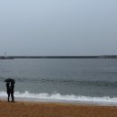 왕산농장 이미지