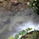 가평힐링캠프 이미지