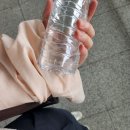 보문역 버스정류장(08-179) | 경주 당일치기 / 혼자 국내 여행 / 루트와 여행 경비(ft. 서울역 출발) / KTX 일반 vs 특우등실