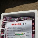 보한농장 네이버블로그