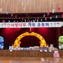 사랑나무유치원 이미지