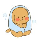 일휴일박 이미지