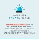 프로젝트앙