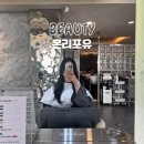 라원 | 잠실 미용실 온리포유 라원수석디자이너 두피클리닉 후기