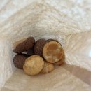 의왕휴게소 이미지