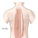 골프존아카데미 목동점 이미지