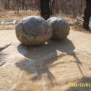 아지랑냉이랑 이미지