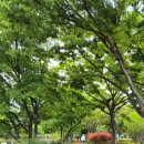 성산공원 이미지