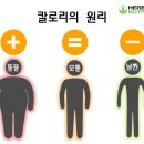 나르샤점핑 이미지