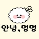 안녕 멍멍아 이미지