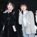 새봄코리아 이미지