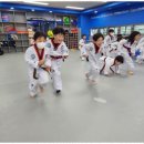 용인대 청명 태권도 네이버블로그