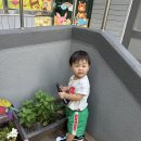 ＜도원 - 🥽여름 용품을 탐색해요＞ 이미지
