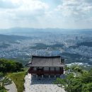 경동오징어국수식당