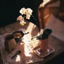 카페 티타임 이미지