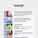 행복하개키울고양 이미지