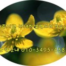 현대지산114공인중개사사무소 | 영통 현대 테라타워 분양소식 알림