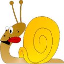 snail