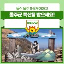 배떡온양 | 울산 울주 마모투어하고 울주군 특산품 받으세요!