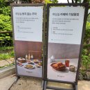 번지없는주막 - 창원시 의창구 | [화담숲 내부 식당] 화담숲 안 "식당 번지 없는 주막" 내돈내산 솔직후기 (가격, 아기 의자, 메뉴 추천)
