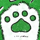 고양이 기숙사 이미지