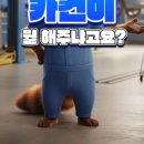 과천자동차공업사 이미지