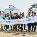 능금농장2 이미지